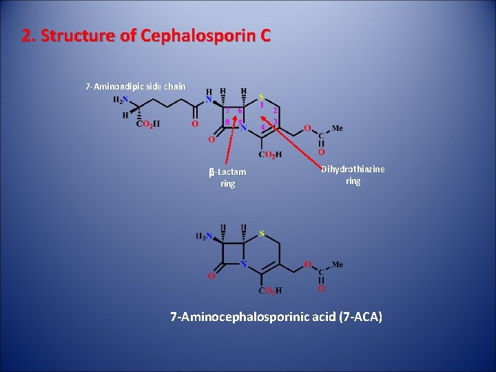 2. Structure of Cephalosporin C 7 -Aminoadipic side chain b-Lactam ring Dihydrothiazine ring 7