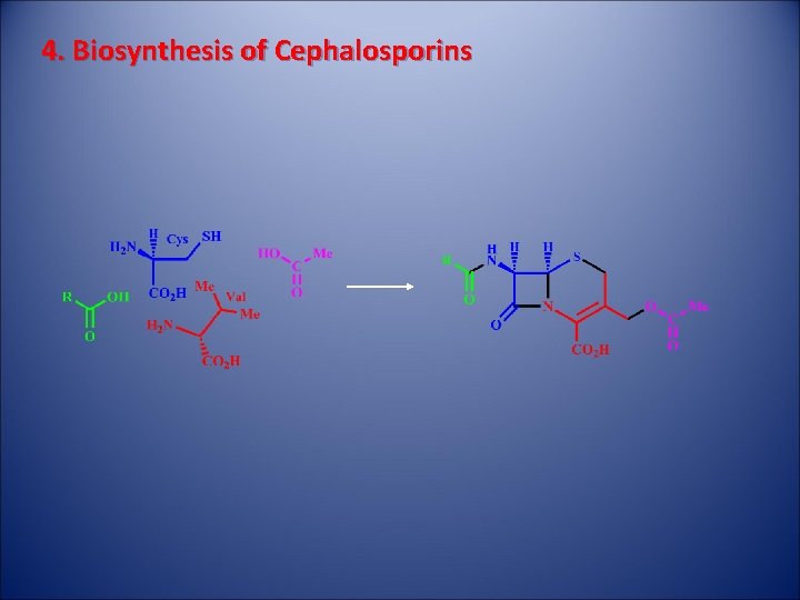 4. Biosynthesis of Cephalosporins 