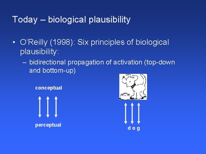 Today – biological plausibility • O’Reilly (1998): Six principles of biological plausibility: – bidirectional