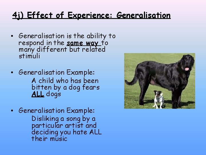 4 j) Effect of Experience: Generalisation • Generalisation is the ability to respond in