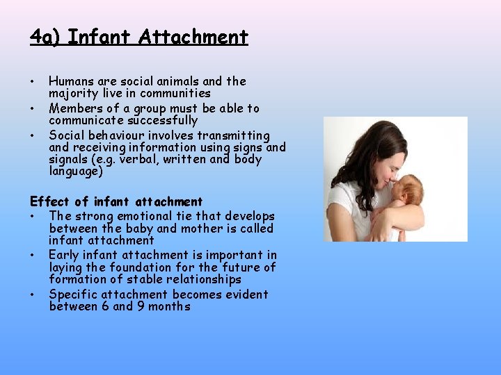 4 a) Infant Attachment • • • Humans are social animals and the majority
