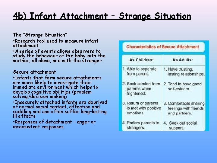 4 b) Infant Attachment – Strange Situation The “Strange Situation” • Research tool used