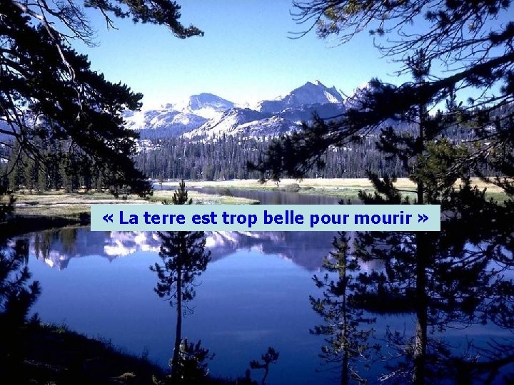  « La terre est trop belle pour mourir » 
