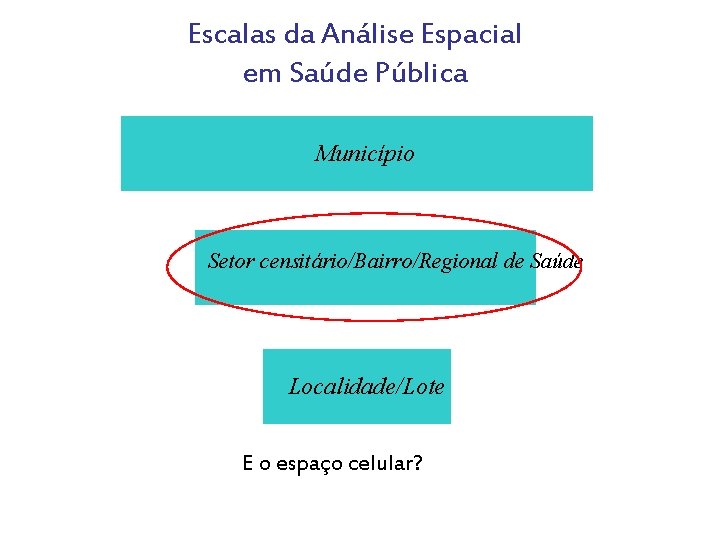 Escalas da Análise Espacial em Saúde Pública Município Setor censitário/Bairro/Regional de Saúde Localidade/Lote E