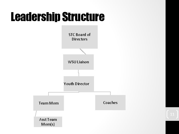 Leadership Structure STC Board of Directors WSU Liaison Youth Director Team Mom Asst Team