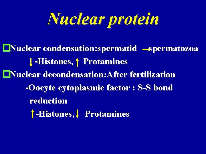 Nuclear protein �Nuclear condensation: spermatid spermatozoa -Histones, Protamines �Nuclear decondensation: After fertilization -Oocyte cytoplasmic