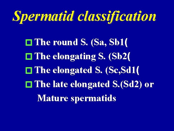 Spermatid classification � The round S. (Sa, Sb 1( � The elongating S. (Sb
