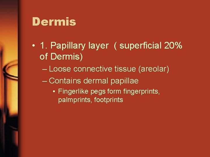 Dermis • 1. Papillary layer ( superficial 20% of Dermis) – Loose connective tissue