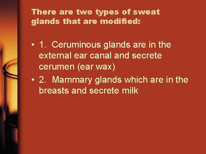 There are two types of sweat glands that are modified: • 1. Ceruminous glands