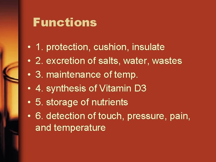 Functions • • • 1. protection, cushion, insulate 2. excretion of salts, water, wastes