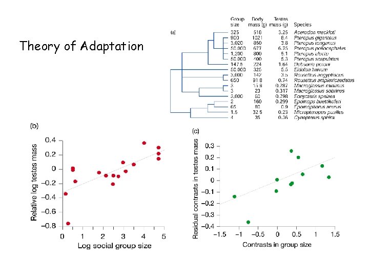 Theory of Adaptation 