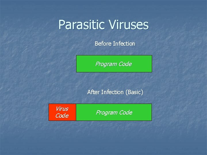 Parasitic Viruses Before Infection Program Code After Infection (Basic) Virus Code Program Code 