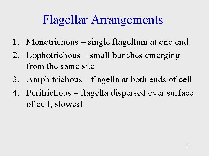 Flagellar Arrangements 1. Monotrichous – single flagellum at one end 2. Lophotrichous – small