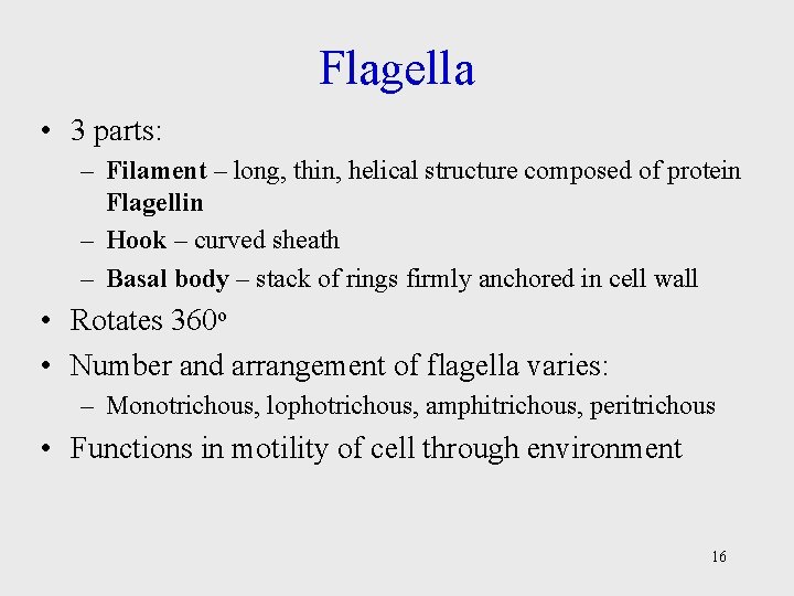 Flagella • 3 parts: – Filament – long, thin, helical structure composed of protein