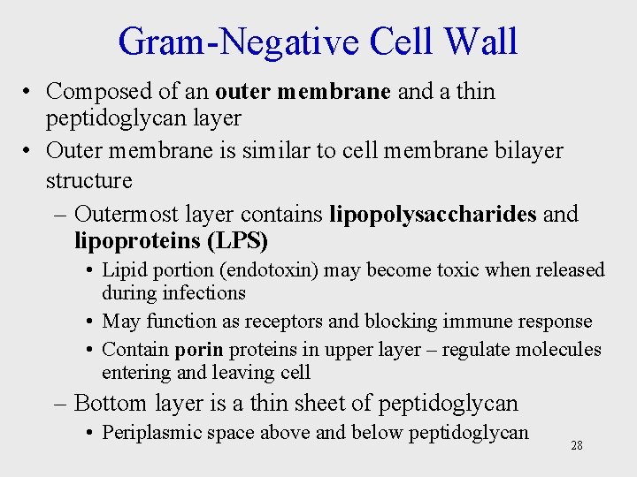 Gram-Negative Cell Wall • Composed of an outer membrane and a thin peptidoglycan layer