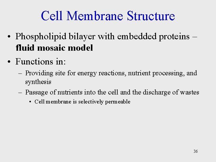 Cell Membrane Structure • Phospholipid bilayer with embedded proteins – fluid mosaic model •