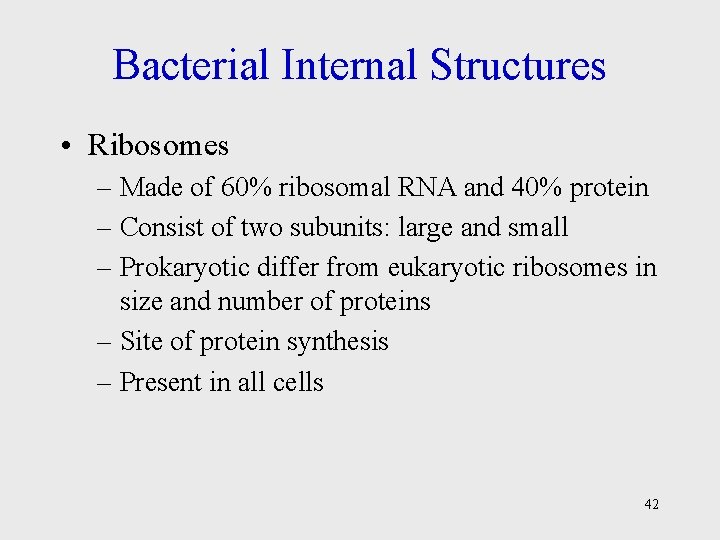 Bacterial Internal Structures • Ribosomes – Made of 60% ribosomal RNA and 40% protein