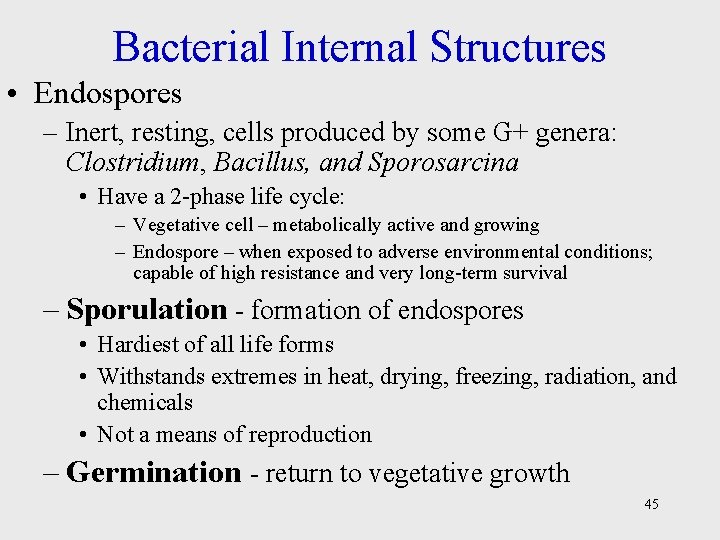 Bacterial Internal Structures • Endospores – Inert, resting, cells produced by some G+ genera: