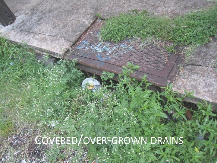 COVERED/OVER-GROWN DRAINS 