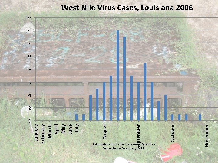 West Nile Virus Cases, Louisiana 2006 16 14 12 10 8 6 4 2