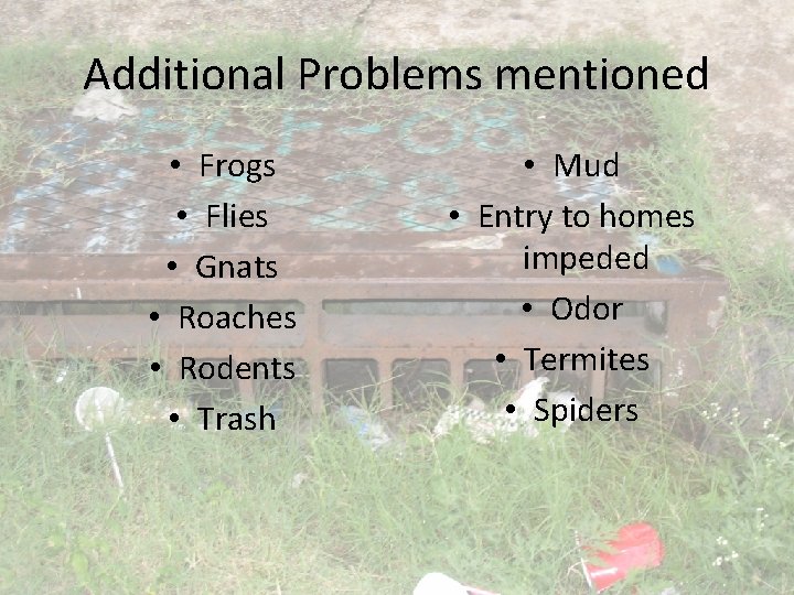 Additional Problems mentioned • Frogs • Flies • Gnats • Roaches • Rodents •