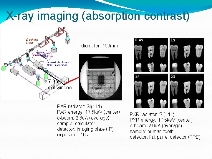X-ray imaging (absorption contrast) diameter: 100 mm 7. 3 m exit window PXR radiator: