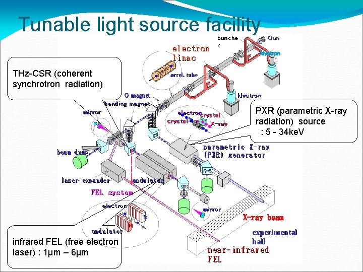 Tunable light source facility klystron THz-CSR (coherent synchrotron radiation) PXR (parametric X-ray radiation) source