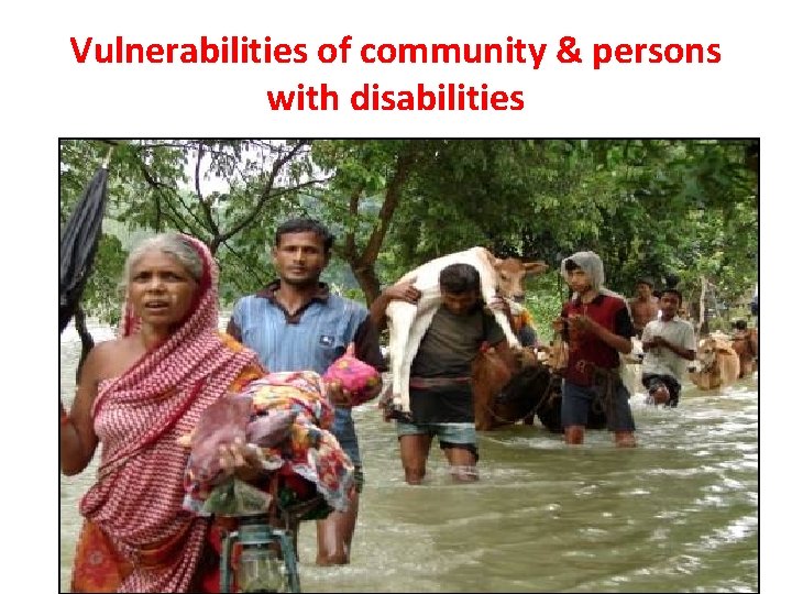 Vulnerabilities of community & persons with disabilities 
