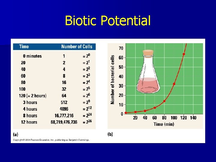 Biotic Potential 