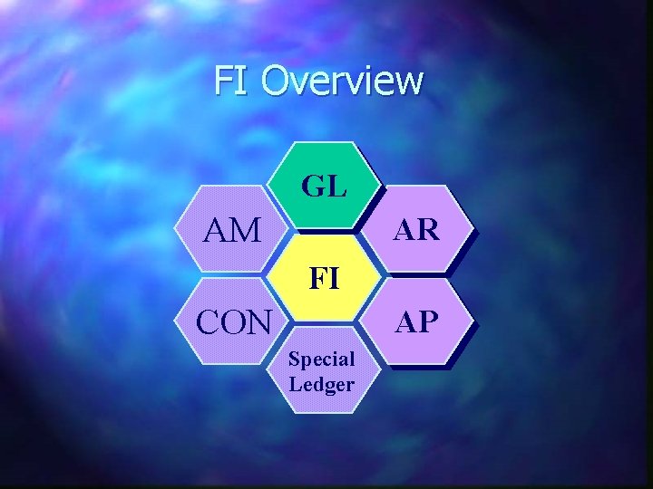 FI Overview GL AM AR FI CON AP Special Ledger 