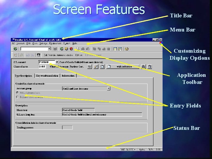 Screen Features Title Bar Menu Bar Customizing Display Options Application Toolbar Entry Fields Status