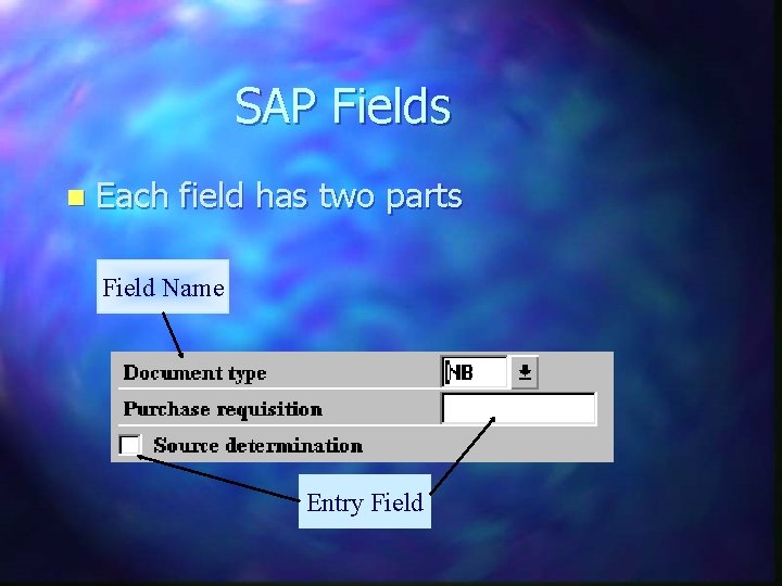 SAP Fields n Each field has two parts Field Name Entry Field 