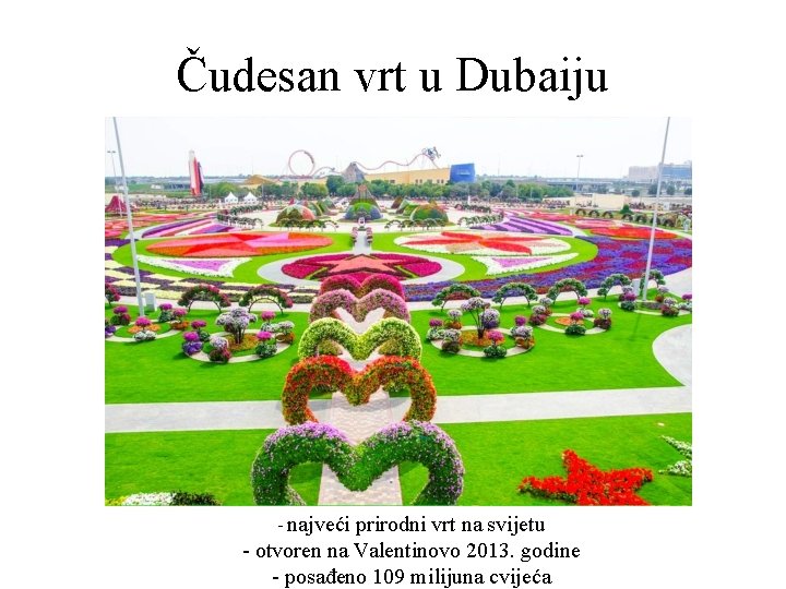 Čudesan vrt u Dubaiju - najveći prirodni vrt na svijetu - otvoren na Valentinovo