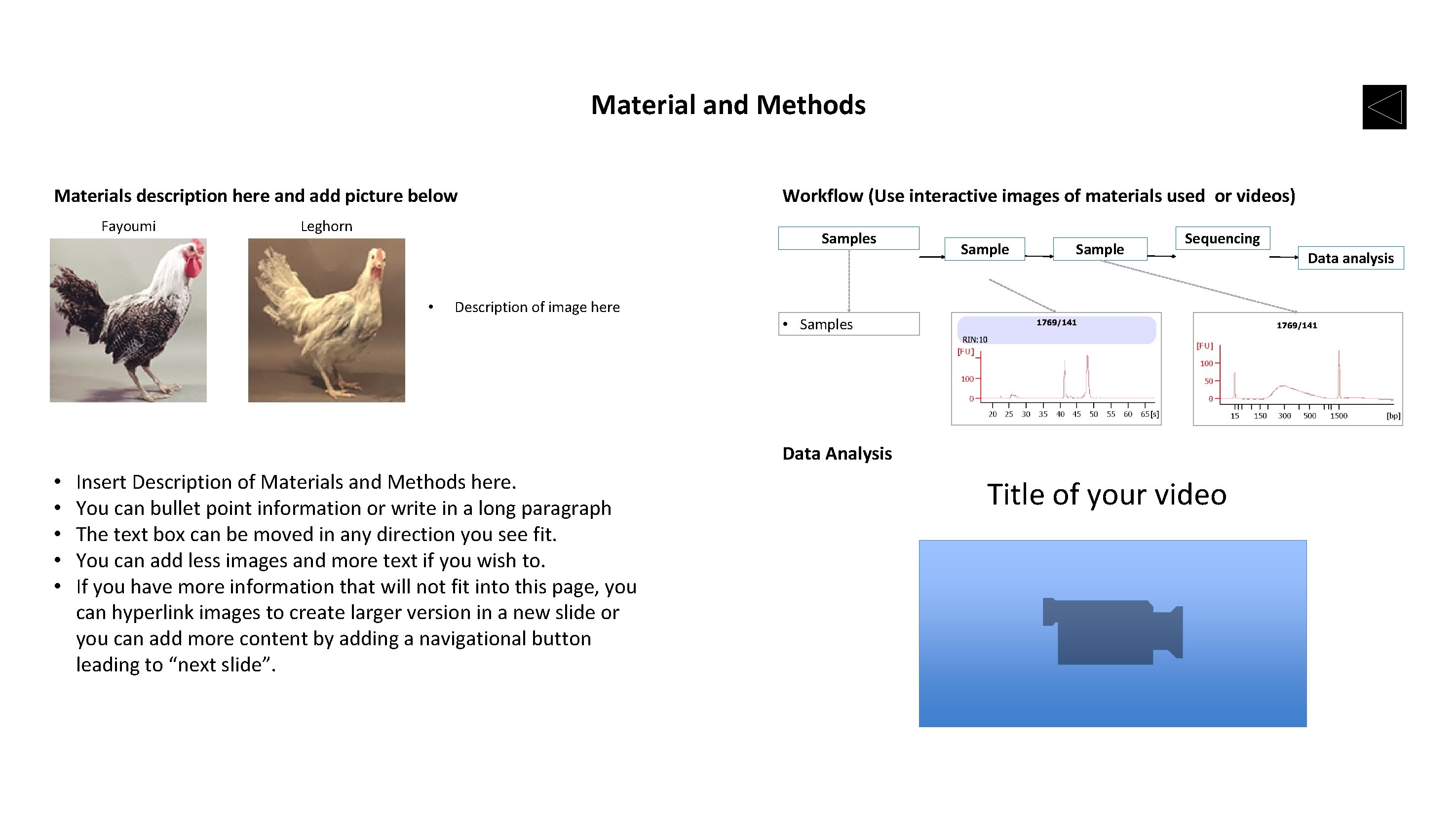 Material and Methods Materials description here and add picture below Fayoumi Leghorn Workflow (Use