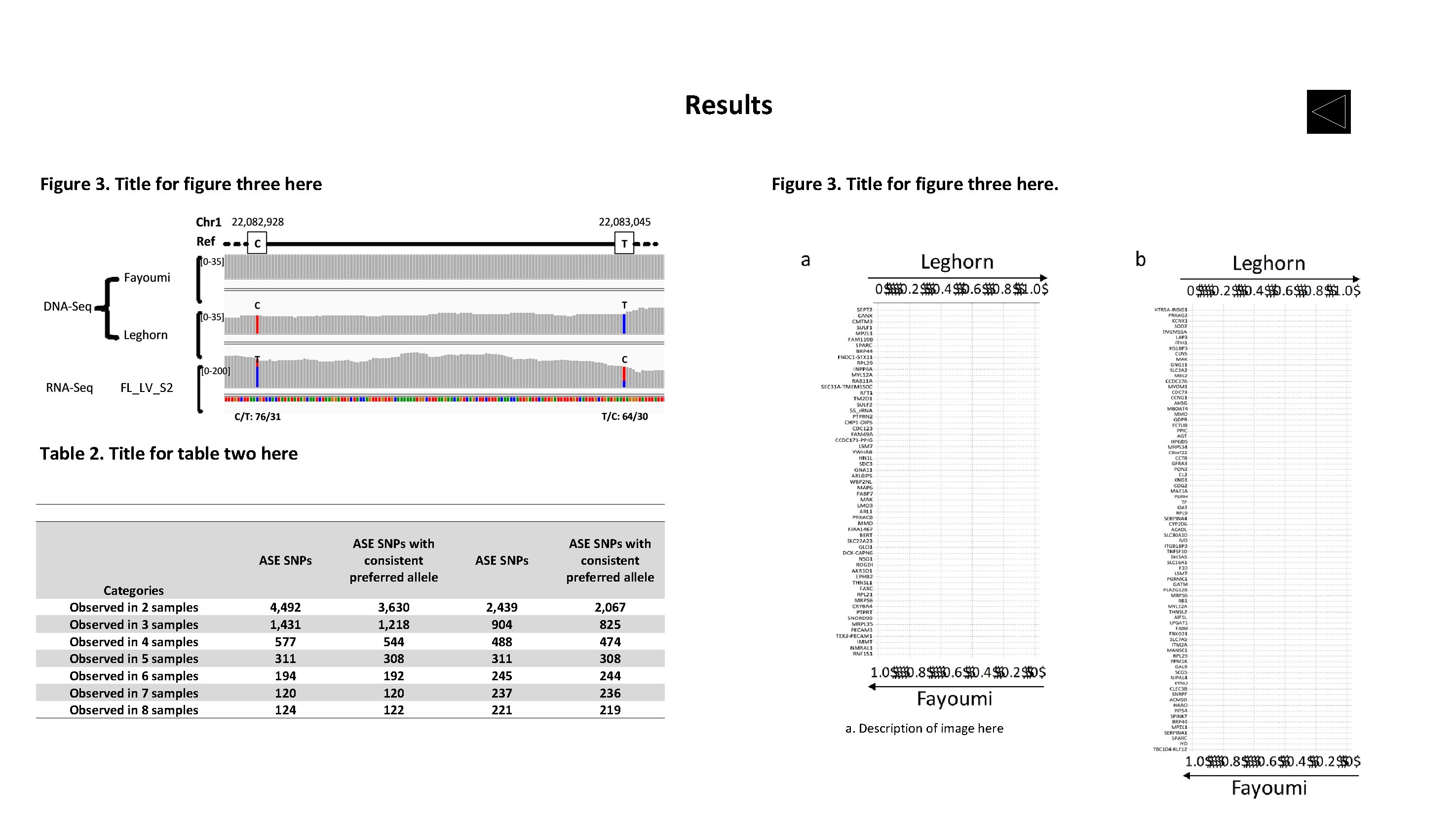 Results Figure 3. Title for figure three here. FL_LV_S 2 Table 2. Title for