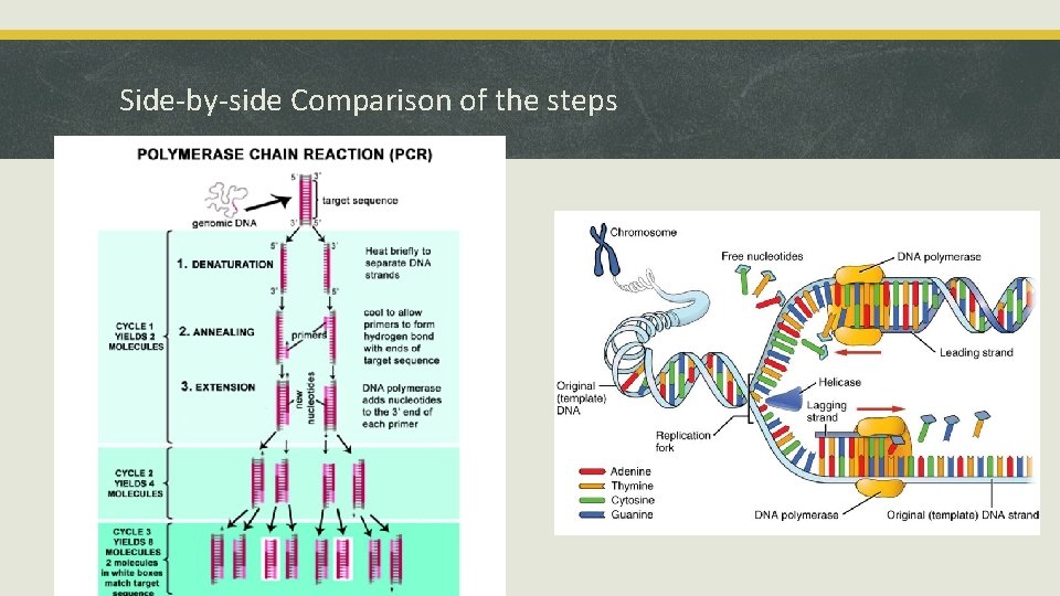 Side-by-side Comparison of the steps 