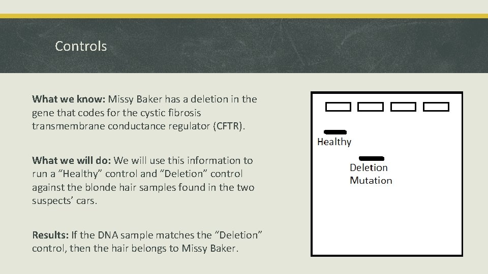 Controls What we know: Missy Baker has a deletion in the gene that codes