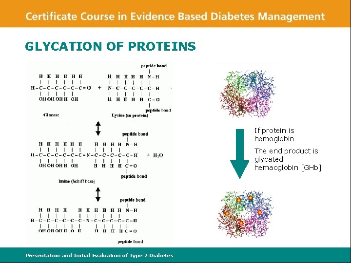 GLYCATION OF PROTEINS If protein is hemoglobin The end product is glycated hemaoglobin [GHb]