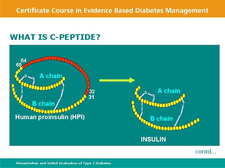 WHAT IS C-PEPTIDE? C-PEPTIDE 64 65 S S A chain S S B chain