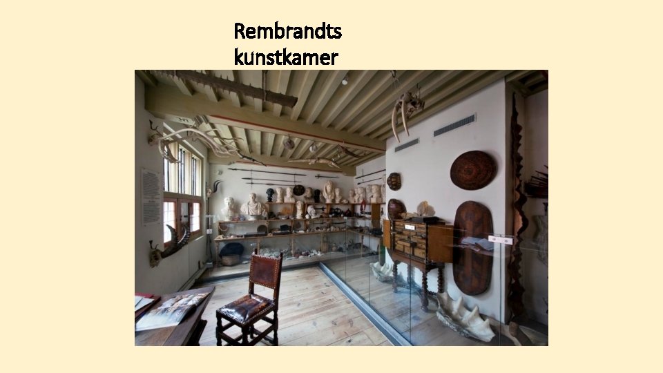 Rembrandts kunstkamer 