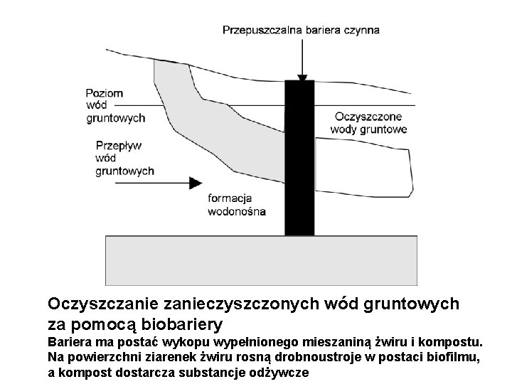 Oczyszczanieczyszczonych wód gruntowych za pomocą biobariery Bariera ma postać wykopu wypełnionego mieszaniną żwiru i