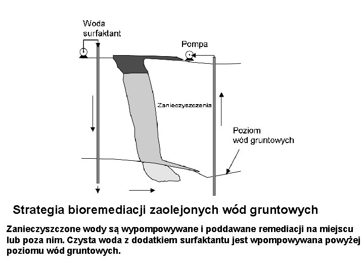 Strategia bioremediacji zaolejonych wód gruntowych Zanieczyszczone wody są wypompowywane i poddawane remediacji na miejscu