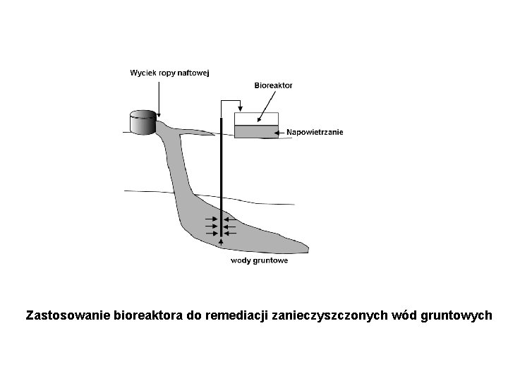 Zastosowanie bioreaktora do remediacji zanieczyszczonych wód gruntowych 