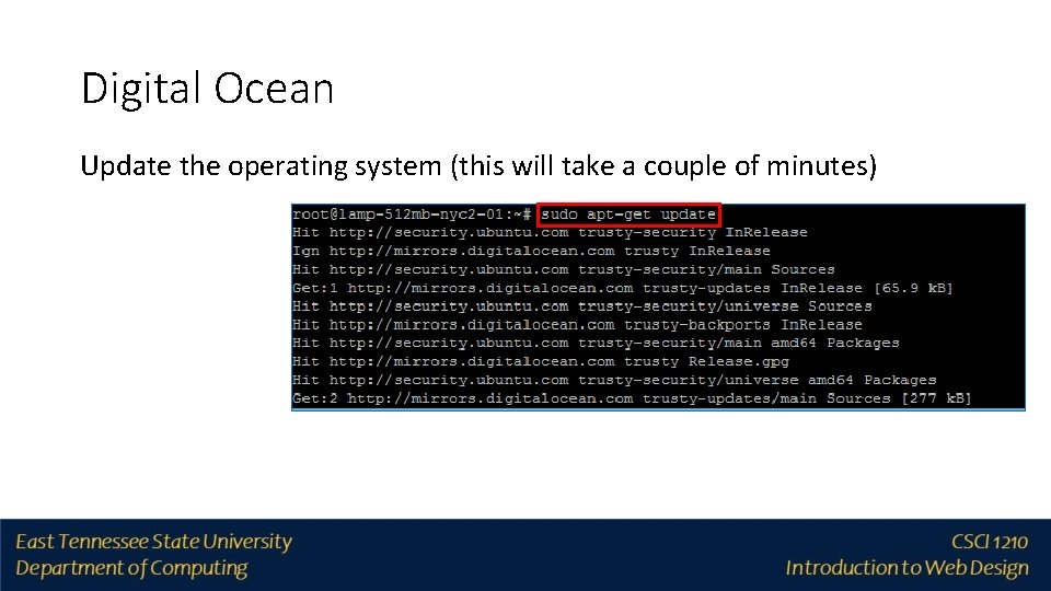 Digital Ocean Update the operating system (this will take a couple of minutes) 