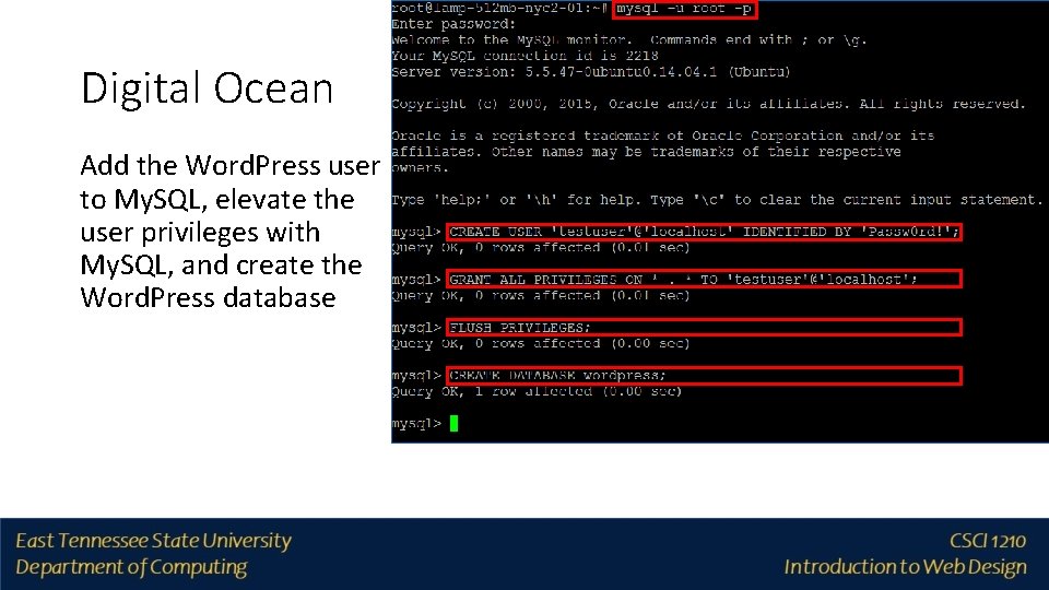 Digital Ocean Add the Word. Press user to My. SQL, elevate the user privileges