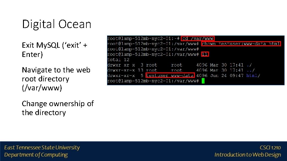 Digital Ocean Exit My. SQL (‘exit’ + Enter) Navigate to the web root directory