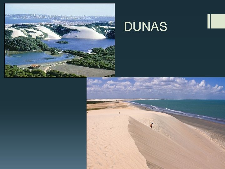 DUNAS 