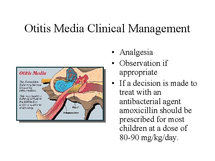 Otitis Media Clinical Management • Analgesia • Observation if appropriate • If a decision