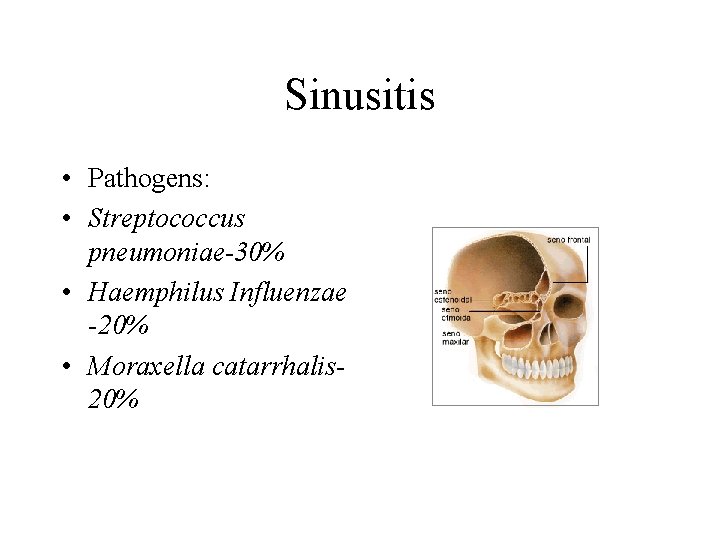 Sinusitis • Pathogens: • Streptococcus pneumoniae-30% • Haemphilus Influenzae -20% • Moraxella catarrhalis 20%