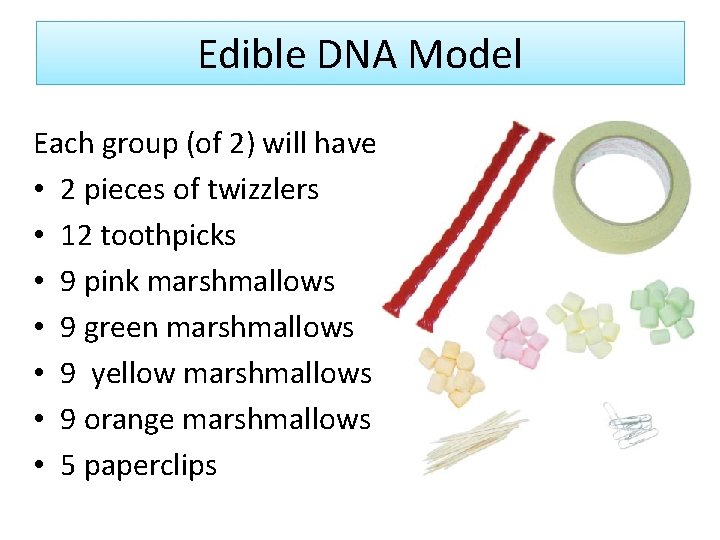 Edible DNA Model Each group (of 2) will have • 2 pieces of twizzlers